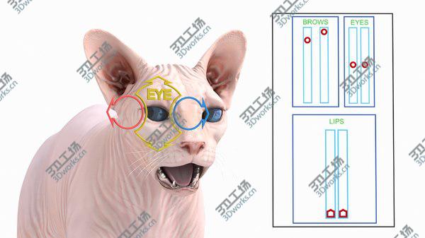 images/goods_img/20210312/Cream Sphynx Cat Rigged 3D model/5.jpg